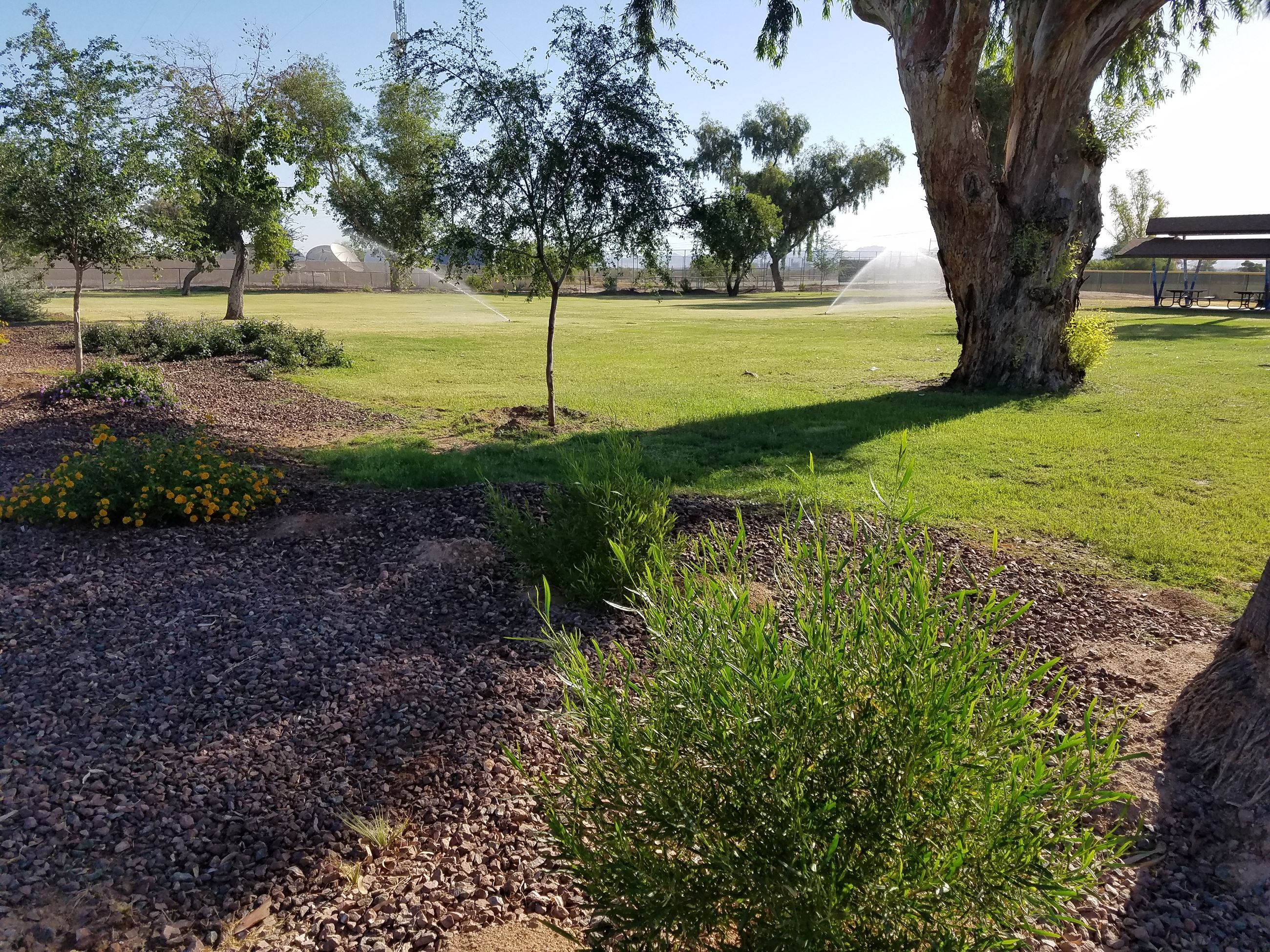 Burleson Park in Gila Bend looking Northeast